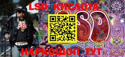 прущие грибы Краснознаменск