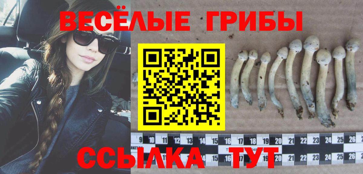 Камышлов  Галлюциногенные грибы Psilocybe  Галлюциногенные грибы MAGIC MUSHROOMS  закладка  Вход с VPN 